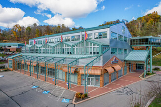 More details for 811 Camp Horne Rd, Pittsburgh, PA - Office for Rent