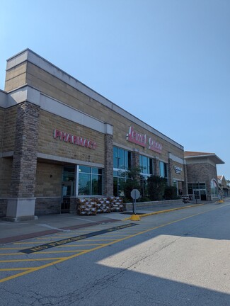 More details for 800 N Main St Outlot, Elburn, IL - Retail for Rent