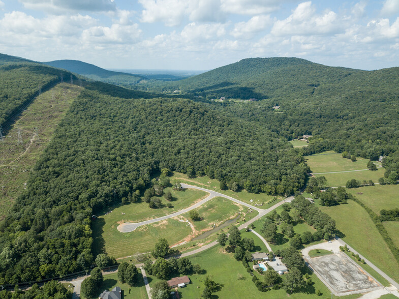 Dug Hill Road, Brownsboro, AL for sale - Building Photo - Image 2 of 13