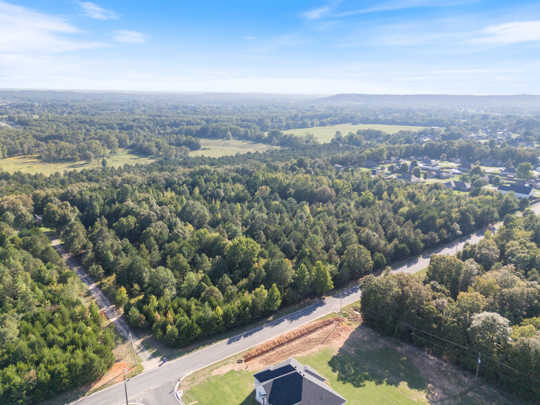 Lieblong Road Rd, Greenbrier, AR for sale - Primary Photo - Image 1 of 19