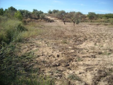 Land in Calasparra, Murcia for sale - Site Plan - Image 3 of 11