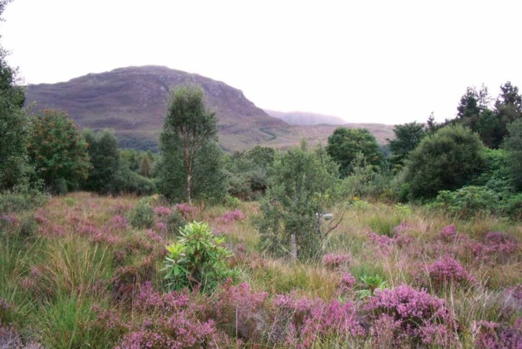 Kishorn, Strathcarron for sale Primary Photo- Image 1 of 1