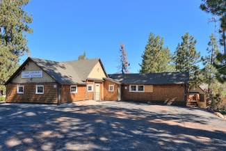 More details for 547 Cottage Ln, Big Bear Lake, CA - Office for Sale