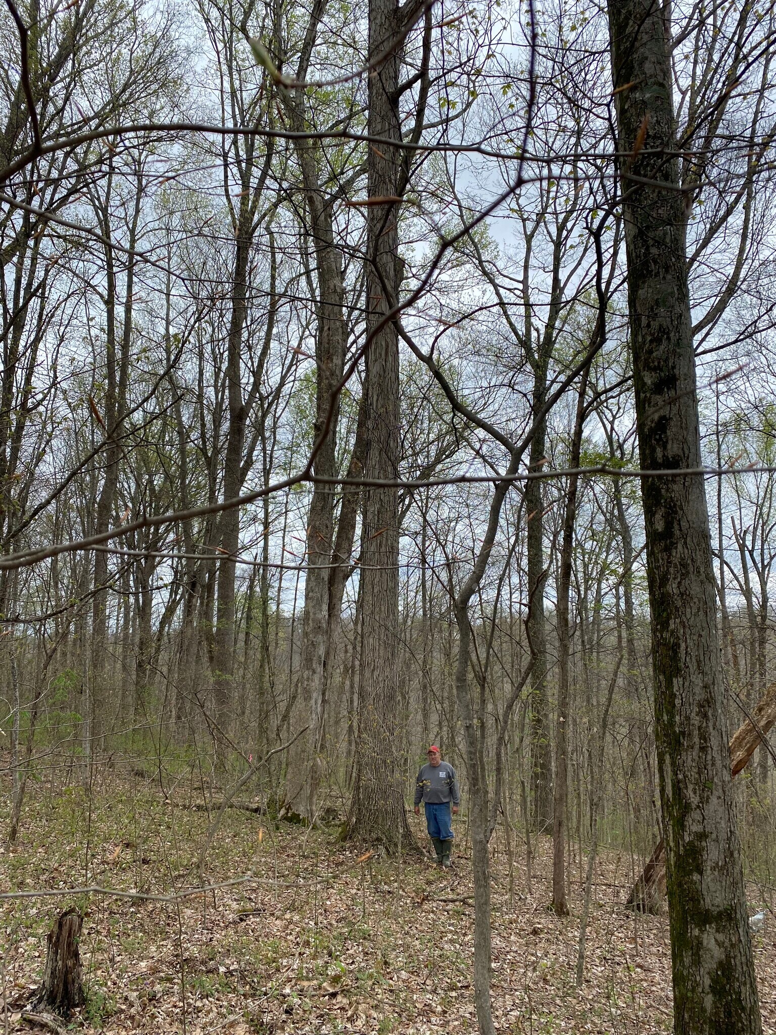 Bloomington Church Road, Columbia, KY for sale Primary Photo- Image 1 of 1