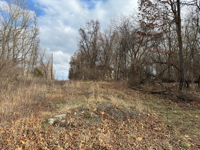 LOT 4 SAM Mason Rd, Bunker Hill, WV for sale - Primary Photo - Image 1 of 1