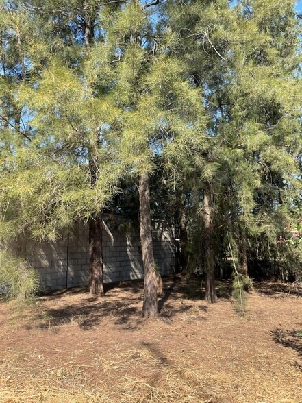 Land in Sanlúcar la Mayor, Sevilla for sale - Building Photo - Image 3 of 11