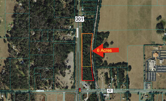 More details for 00 Hwy 301, Summerfield, FL - Land for Sale