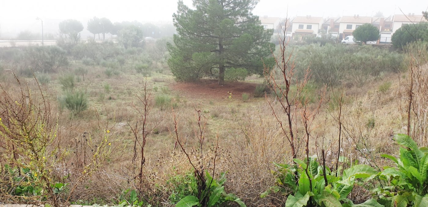 Land in Boecillo for sale Building Photo- Image 1 of 21