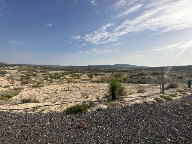 Land in Murcia, Murcia for sale Primary Photo- Image 1 of 4