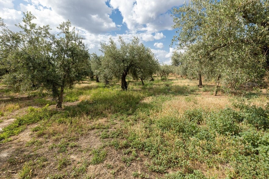 Pol, 1, Granada, Granada for sale - Building Photo - Image 3 of 21
