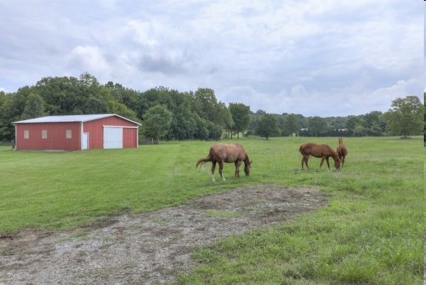 4421 Murfreesboro Rd, Lebanon, TN for sale - Building Photo - Image 2 of 34