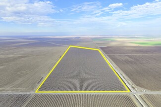 More details for +/- 121.84 Acres Pistachios, Five Points, CA - Land for Sale