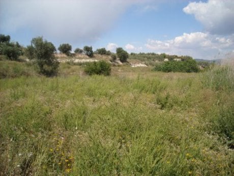 Land in Calasparra, Murcia for sale - Building Photo - Image 1 of 6