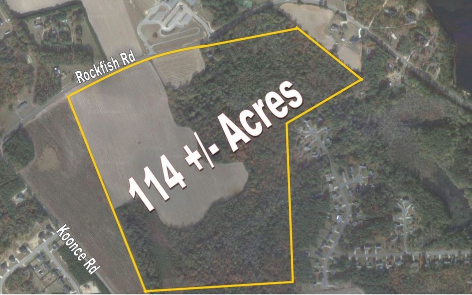 6310 Rockfish Rd, Raeford, NC for sale - Primary Photo - Image 1 of 1