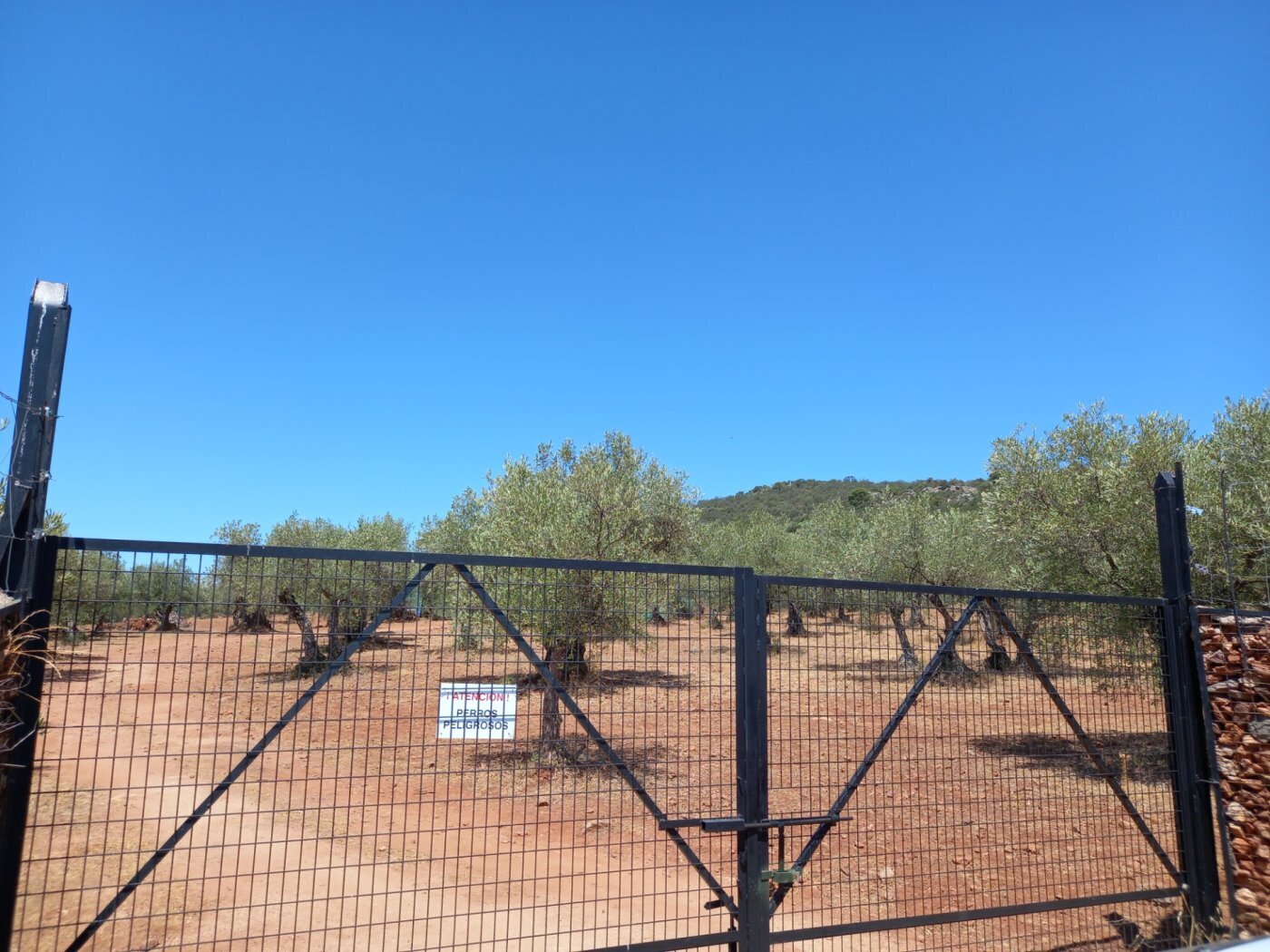 Land in Cáceres, Cáceres for sale Primary Photo- Image 1 of 12
