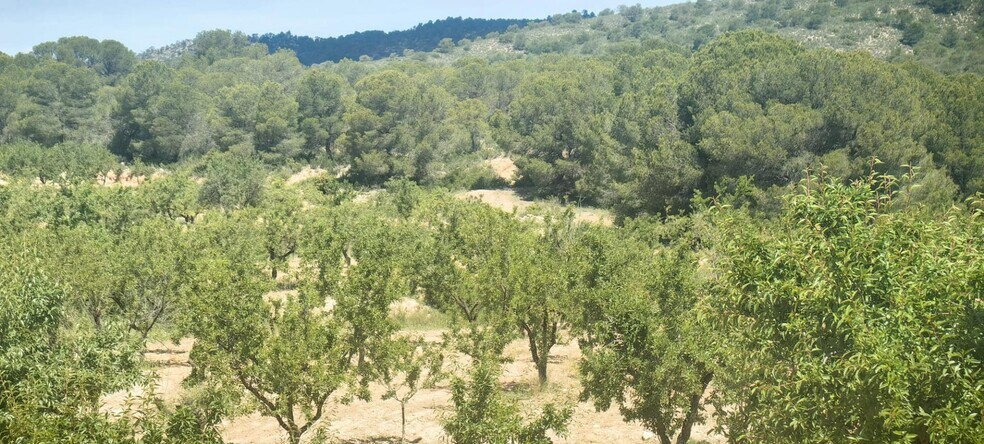 Land in Yecla, Murcia for sale - Aerial - Image 3 of 6