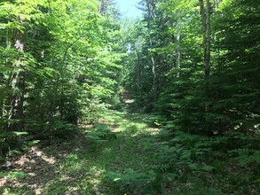 TBD County Road 492, Marquette, MI for sale Primary Photo- Image 1 of 1