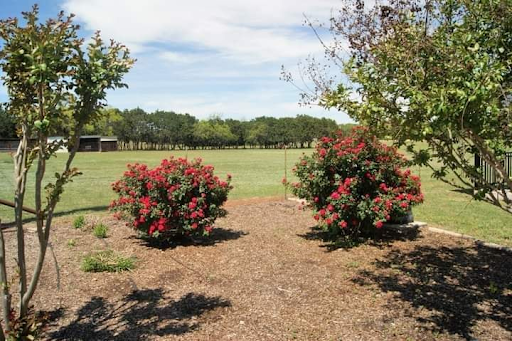 601 County Road 340A, Burnet, TX for sale - Primary Photo - Image 1 of 1