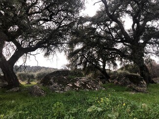 More details for Land for Sale