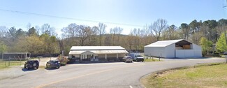 More details for 2270 Pelham Rd S, Jacksonville, AL - Retail for Sale