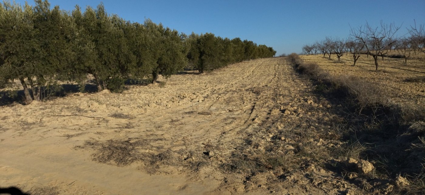 Land in Calasparra, Murcia for sale Site Plan- Image 1 of 16