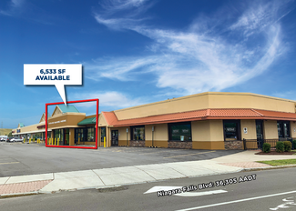 More details for 6520-6560 Niagara Falls Blvd, Niagara Falls, NY - Retail for Rent