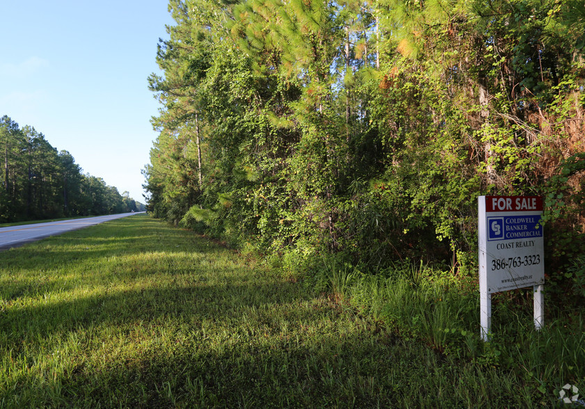 Prevatt Dr, Lake Helen, FL for sale - Primary Photo - Image 1 of 1