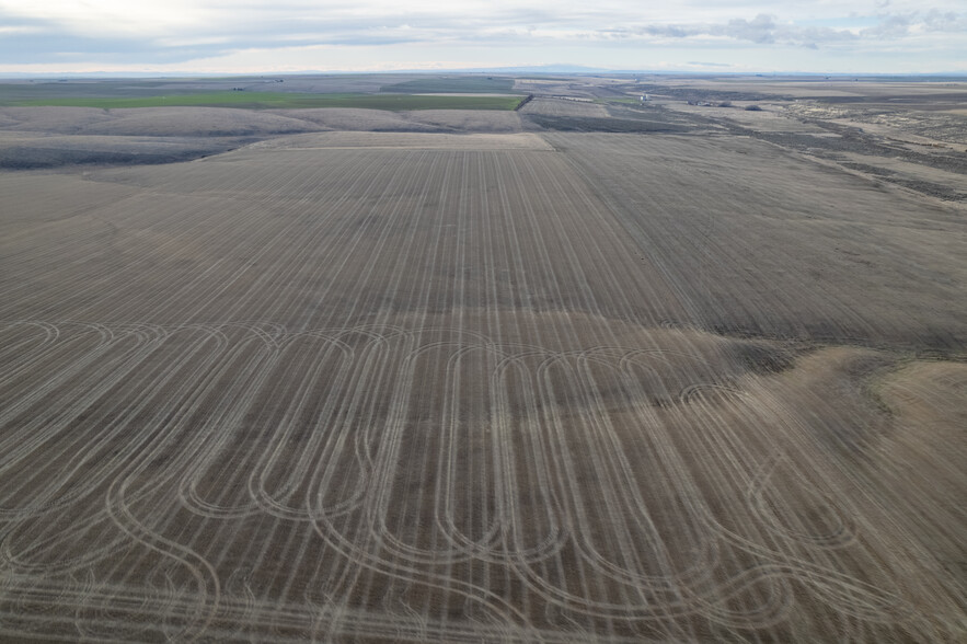 Hwy 21, Odessa, WA for sale - Primary Photo - Image 1 of 34