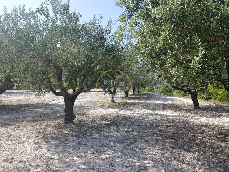 Land in Ontinyent, Valencia for sale - Building Photo - Image 2 of 12