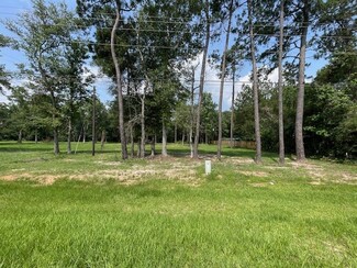 More details for 4106 Hwy 69 S Hwy, Lumberton, TX - Land for Sale