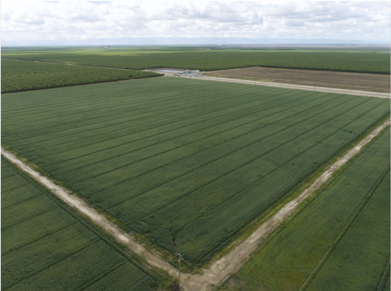 Scofield Ave, Wasco, CA for sale - Primary Photo - Image 1 of 1