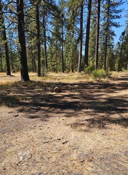 11 Parkside Court, Mccloud, CA for sale - Building Photo - Image 1 of 7