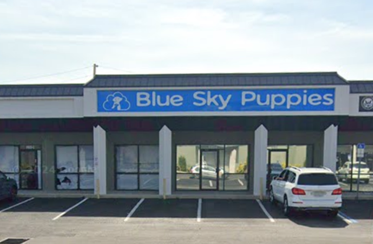 6160 Ulmerton Rd, Clearwater, FL to rent Building Photo- Image 1 of 6