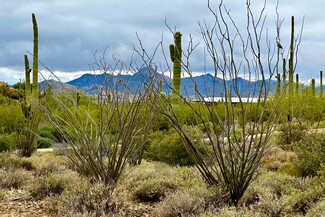 More details for 7XXX Highland Road Rd, Cave Creek, AZ - Land for Sale