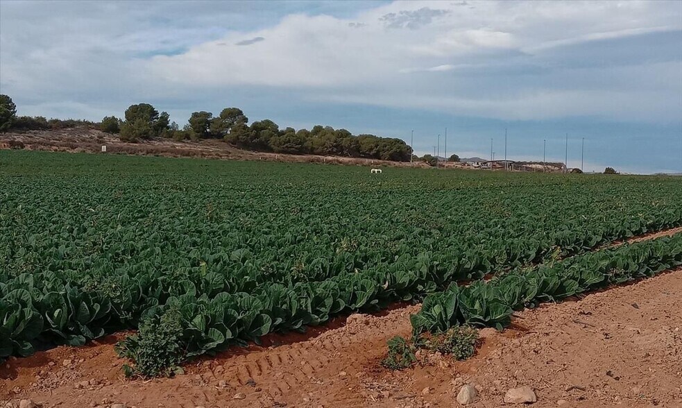 Calle Pp Granados, 5 R, Murcia, Murcia for sale - Building Photo - Image 3 of 12