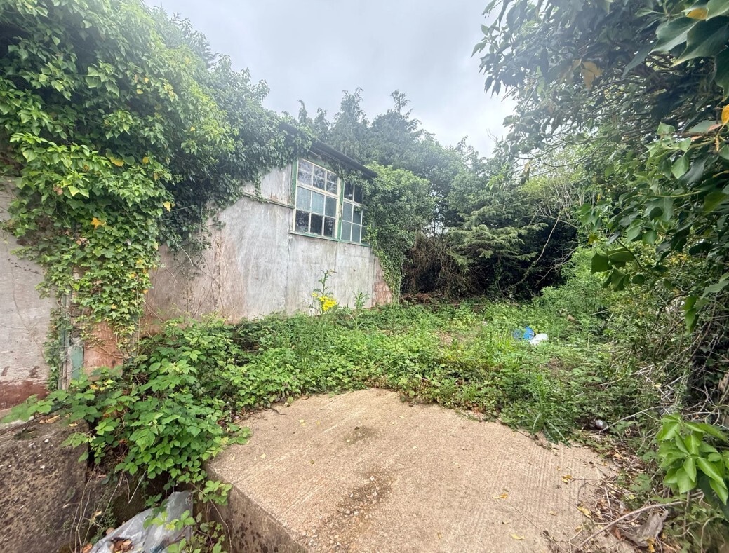 Pashley Rd, Wadhurst to rent Primary Photo- Image 1 of 13