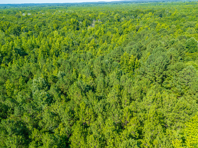 2700 Hall SW st, Hartselle, AL for sale - Aerial - Image 2 of 33