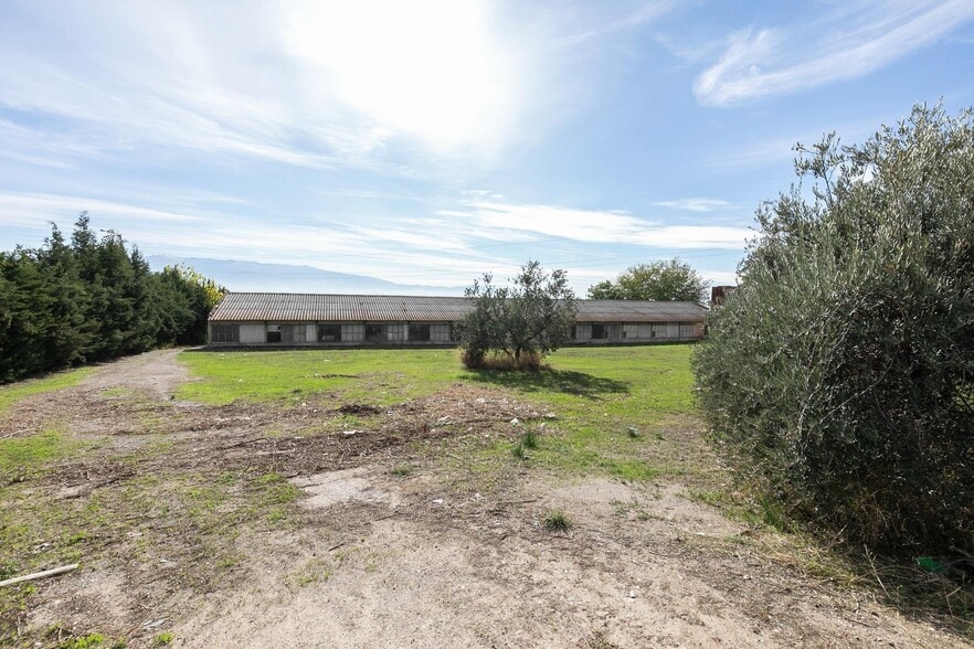 Camino del Albarrate, 6, Atarfe, Granada for sale - Building Photo - Image 2 of 24