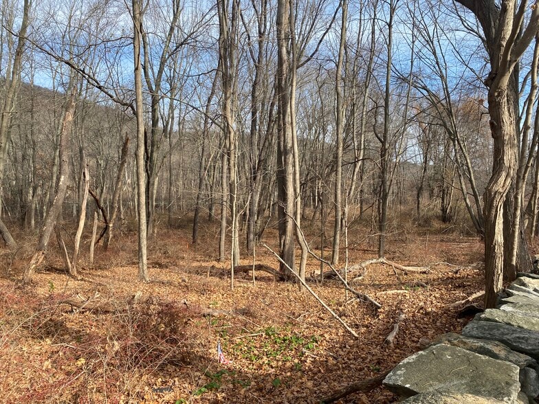 3918 Danbury, Brewster Village, NY for sale - Building Photo - Image 1 of 20