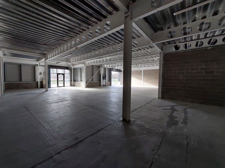 Luna Pl, Dundee to rent - Building Photo - Image 2 of 3