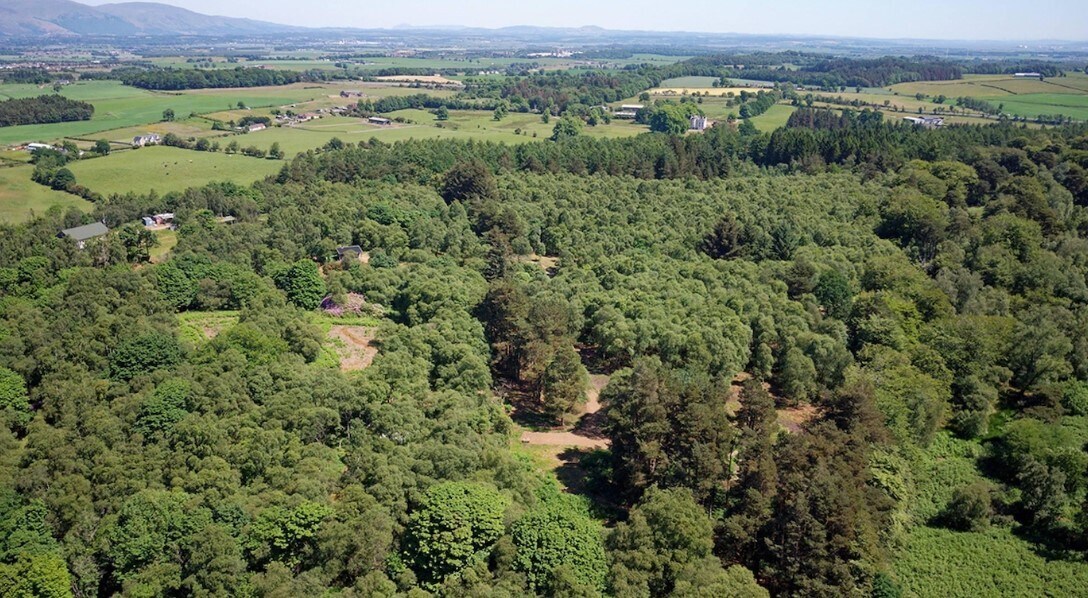 Westbarr Wood, Stirling for sale Primary Photo- Image 1 of 1