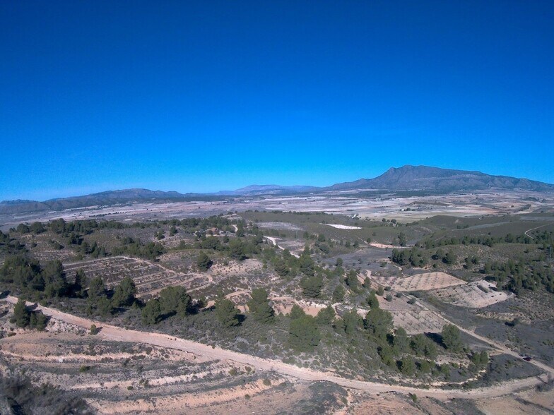 Land in Jumilla, Murcia for sale - Primary Photo - Image 2 of 11