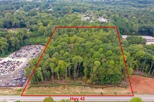 State Route 42, Stockbridge GA - Commercial Property