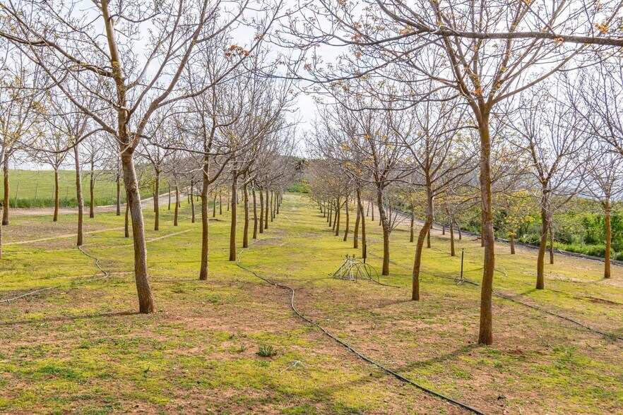 Land in Padul, Granada for sale - Building Photo - Image 2 of 50