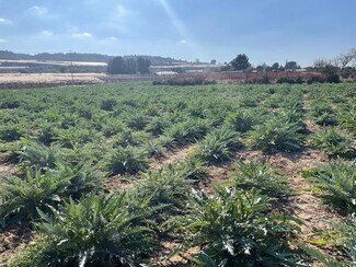 More details for Polígono, Totana - Land for Sale