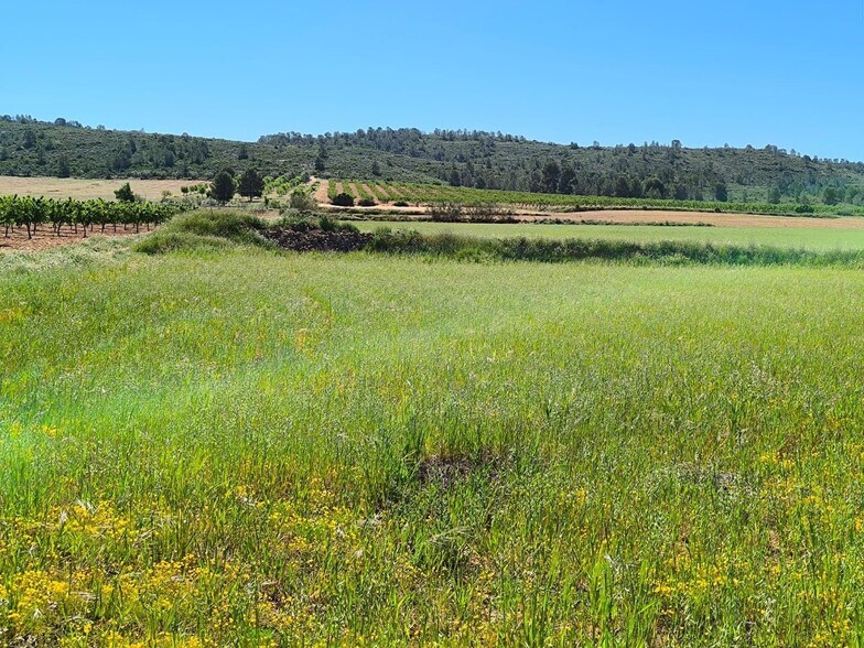 Land in Yecla, Murcia for sale - Site Plan - Image 1 of 5