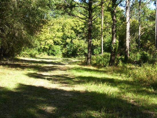 Monticello Rd, Hazlehurst, MS for sale - Primary Photo - Image 1 of 1