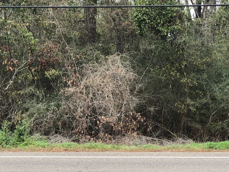 Hwy 190 and Hwy 22, Mandeville, LA for sale - Building Photo - Image 1 of 5