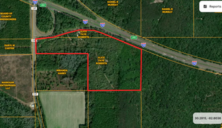 More details for TBD 137 & I-10 TBD CR 137 & I-10, Live Oak, FL - Land for Sale