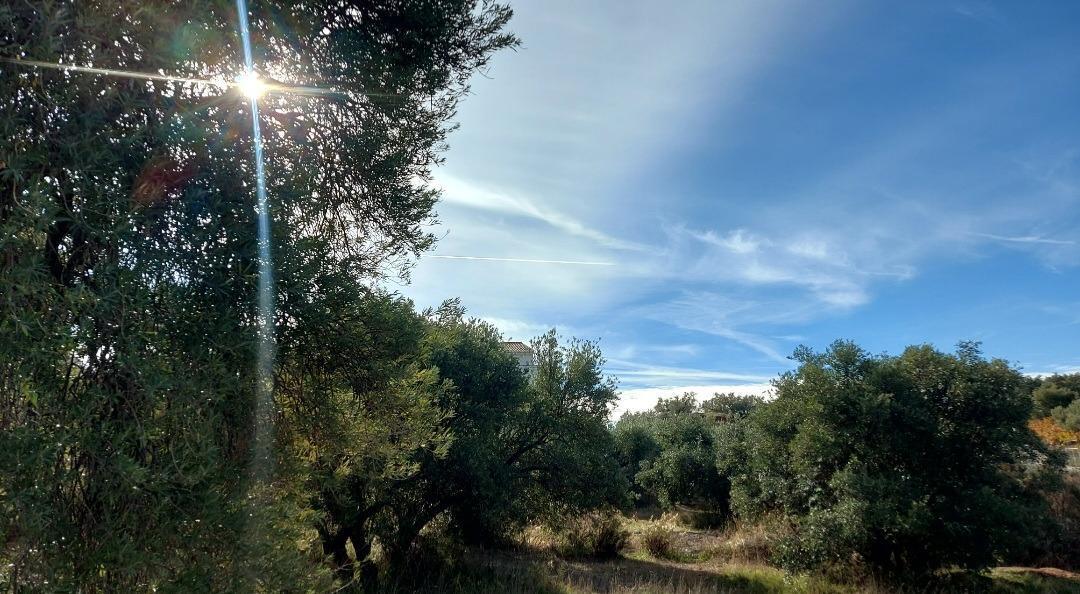 Land in Nívar, Granada for sale Building Photo- Image 1 of 17